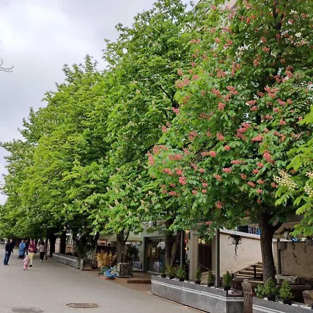 Центр Рышкановки Apartment Chisinau Exterior photo