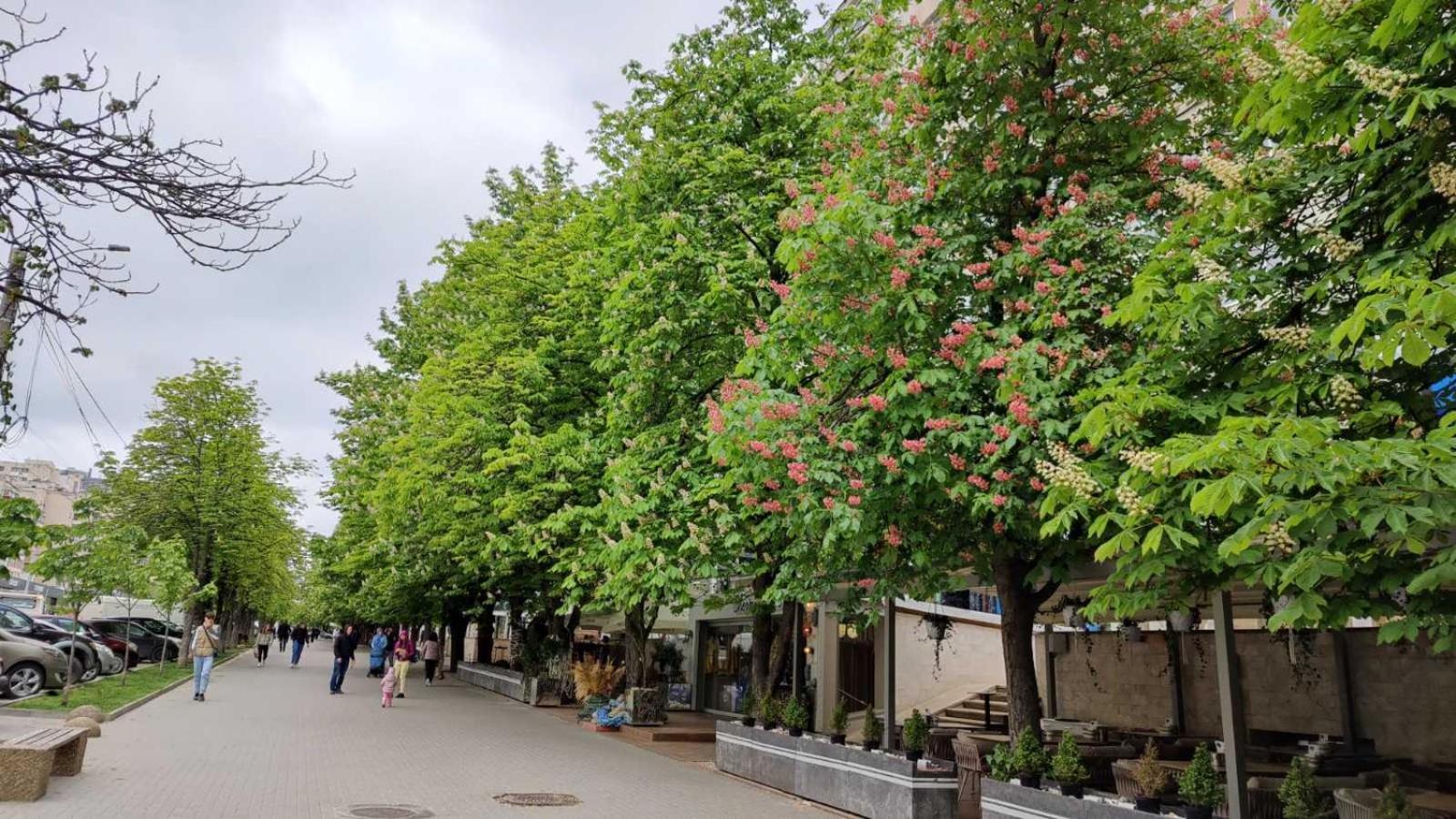 Appartement центр рышкановки Chişinău